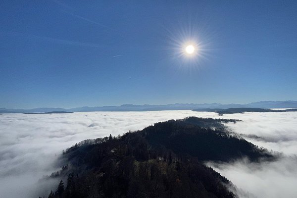 Sonne am strahlend blauen Himmel, darunter ein Nebelmeer mit einzelnen herausragenden Hügelkuppen