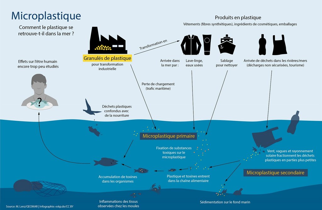 D'où provient le microplastique en mer ?