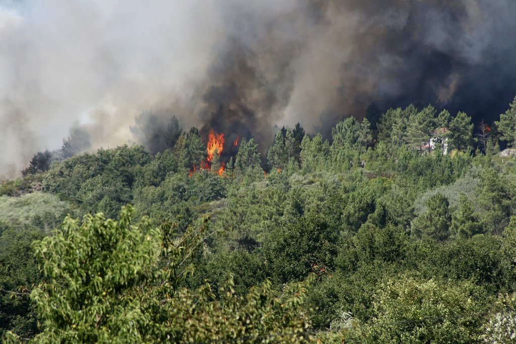 Waldbrand