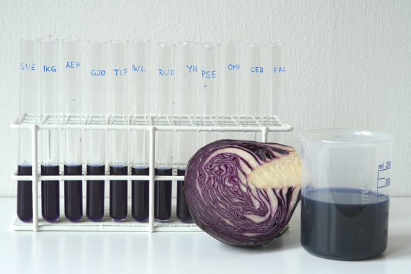 Aufgeschnittener Rotkohl, Becher und Reagenzgläser mit Rotkohlsaft