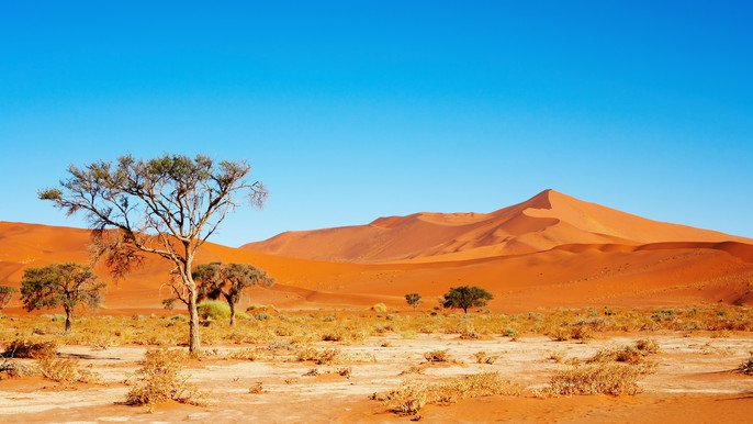 Namib-Wüste