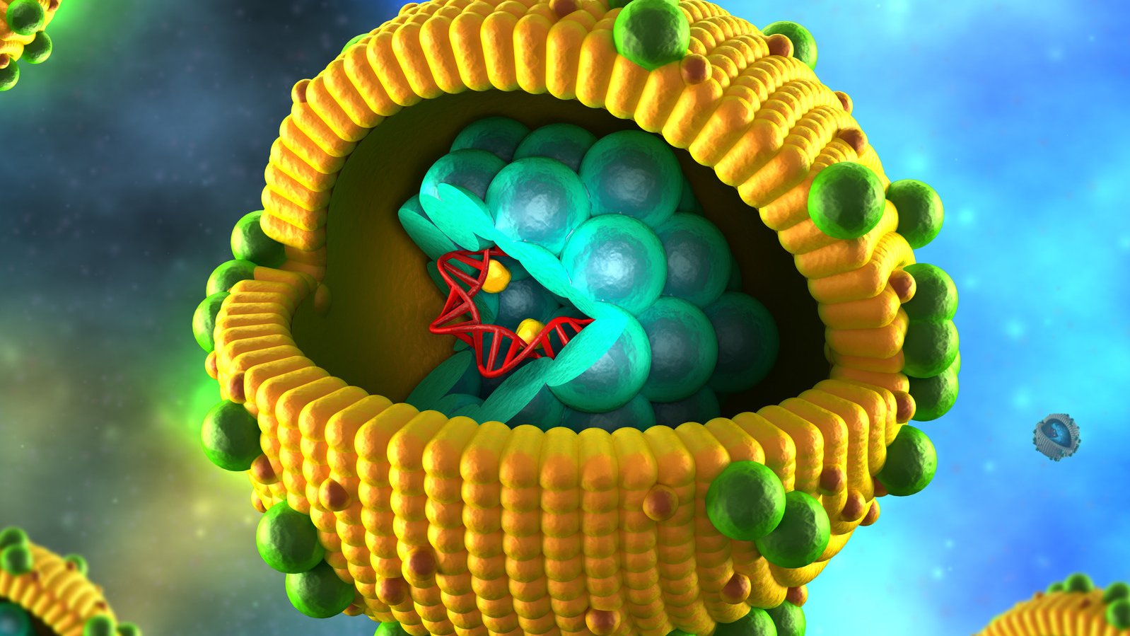 Hepatitis-Virus (Illustration)