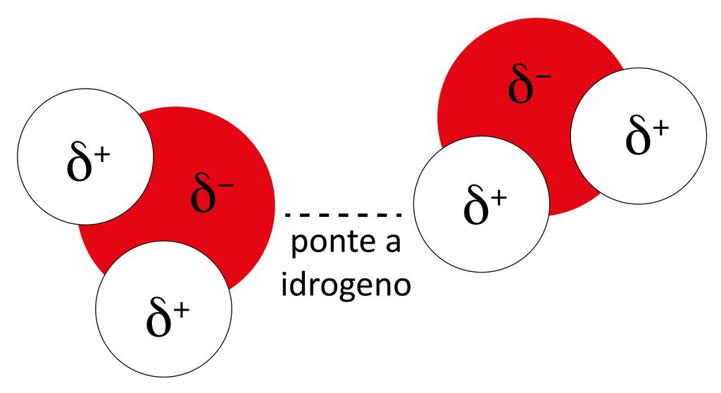 Molecole d'acqua 