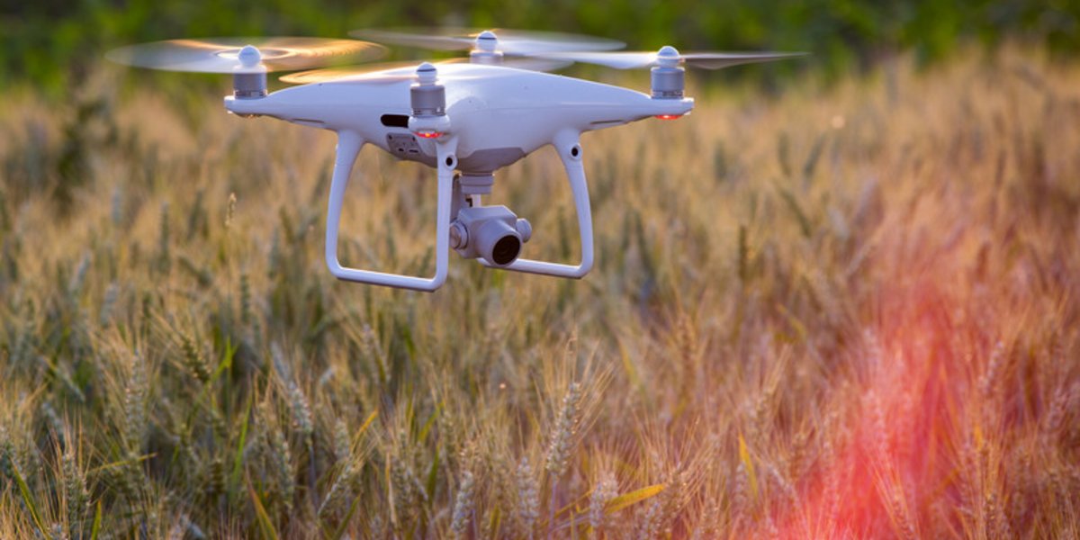 Agriculture de précision à l'aide d'un drone