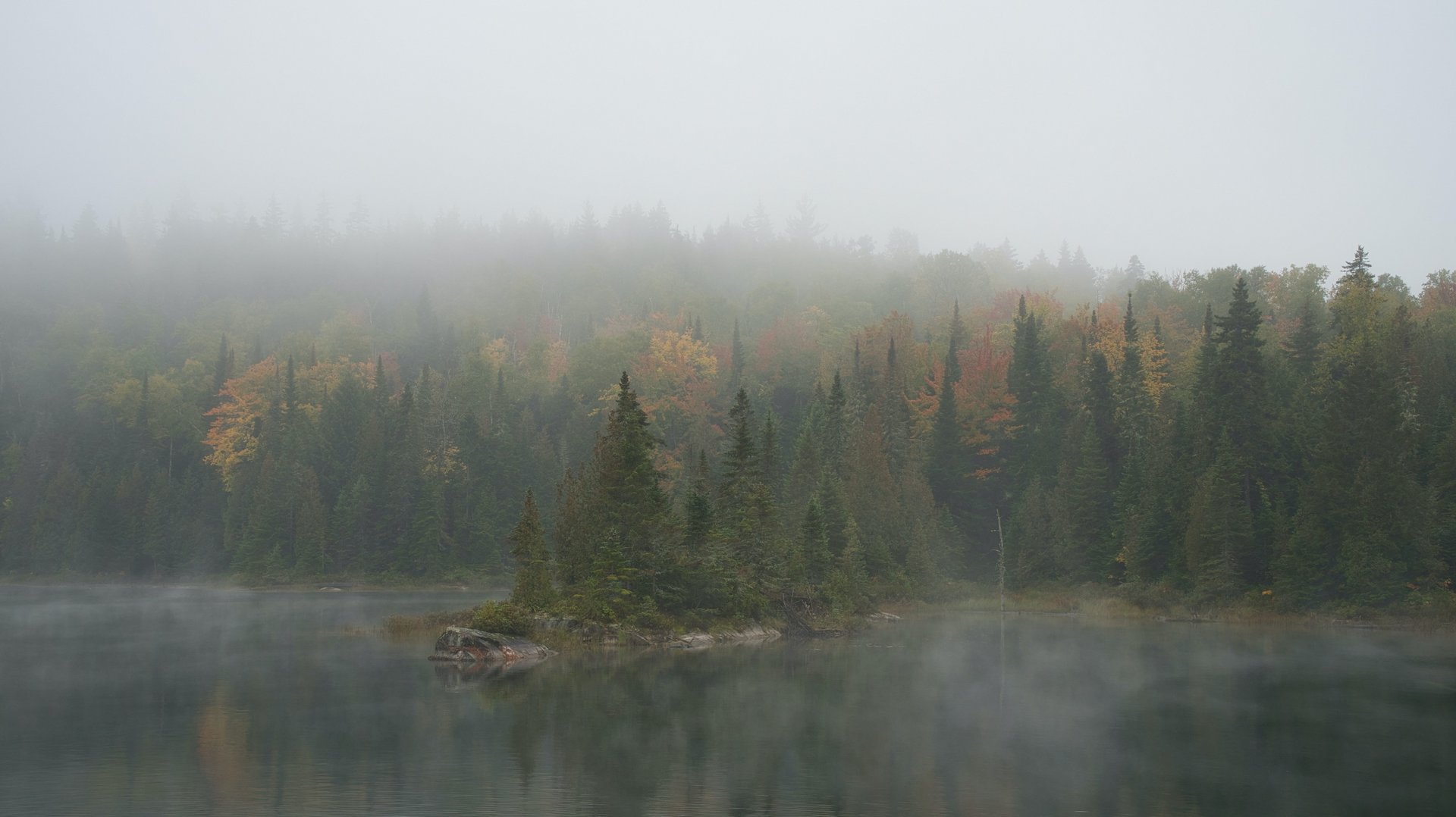 Nebel über einem herbstlichen Wald am See