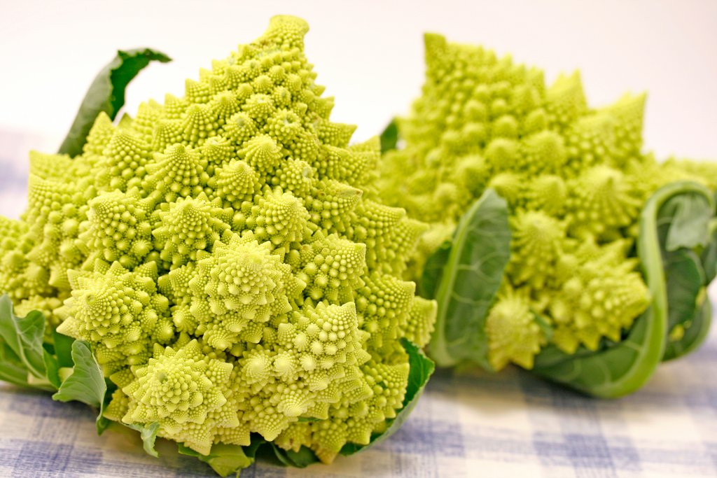 Zwei Romanesco-Köpfe