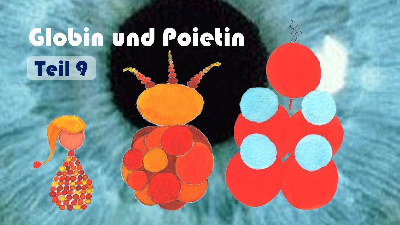 Globin & Poietin: Titelbild