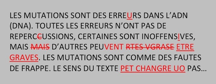 Texte avec des fautes de frappe corrigées en rouge