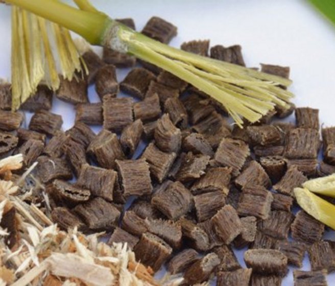 Des fibres végétales servent de matière première pour bioplastique