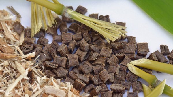 Des fibres végétales servent de matière première pour bioplastique