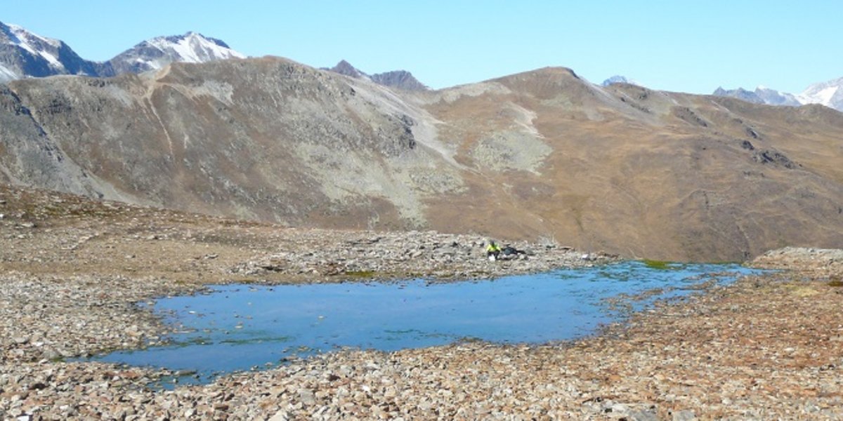 Source du ruisseau, au sud de l'Engadine