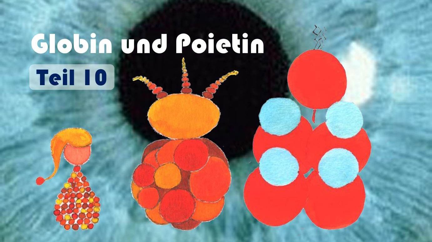 Globin & Poietin: Titelbild