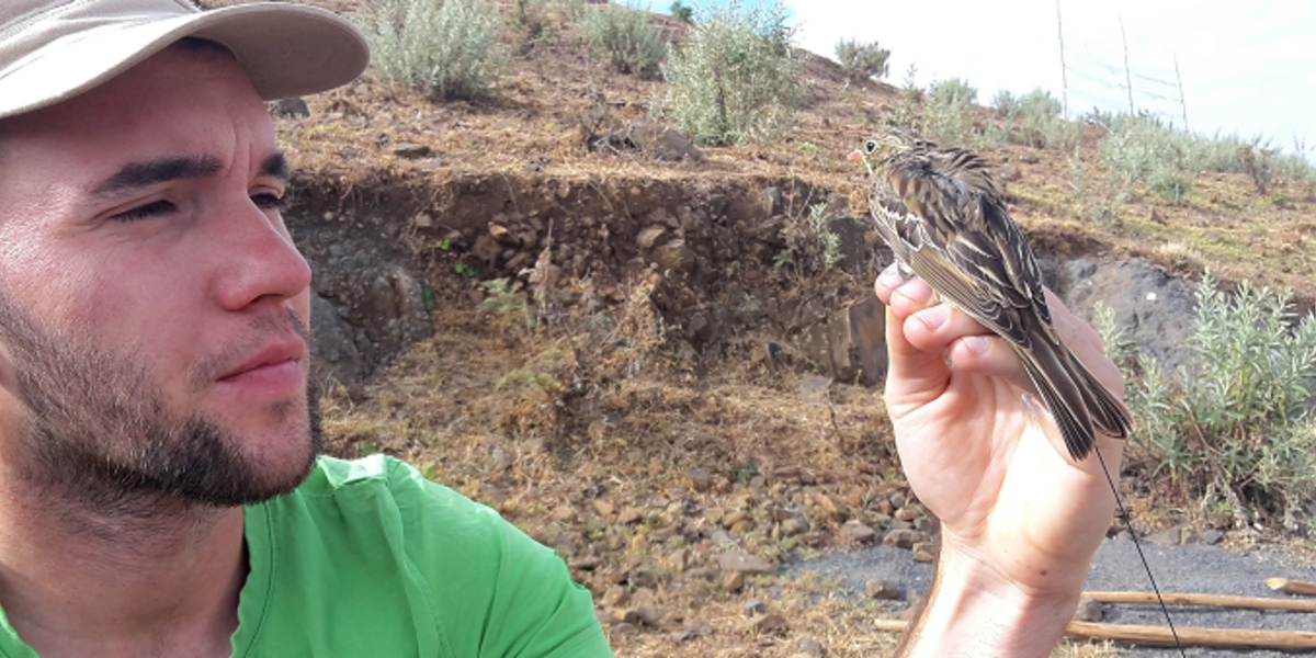 Jérémy Gremion et un bruant ortolan Emberiza hortulana