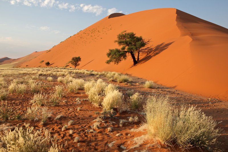 Rote Sanddüne in Namibia