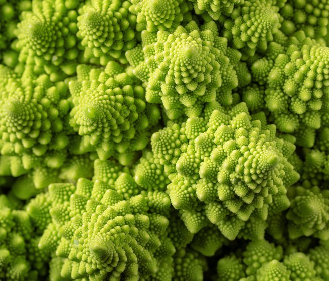 Dans un chou romanesco, une même forme géométrique se répète à différentes échelles