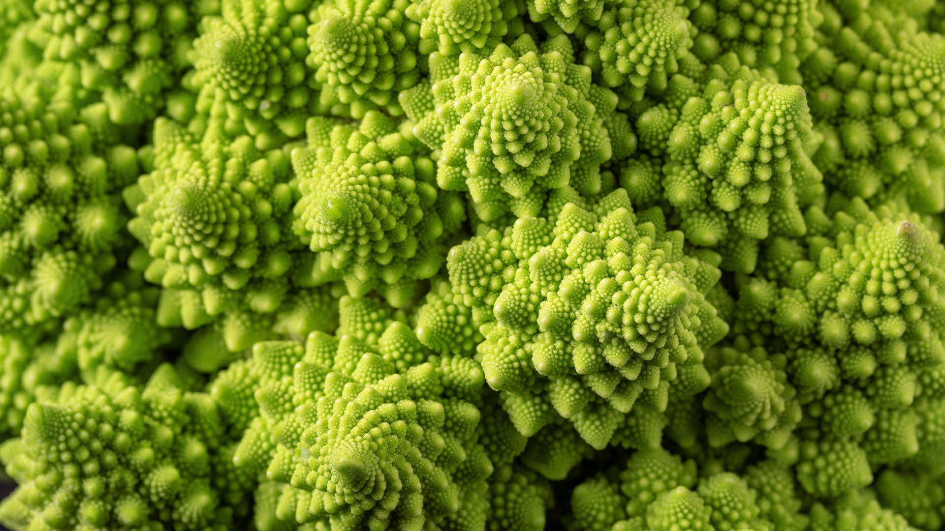 Nahaufname der "Röschen" eines Romanesco