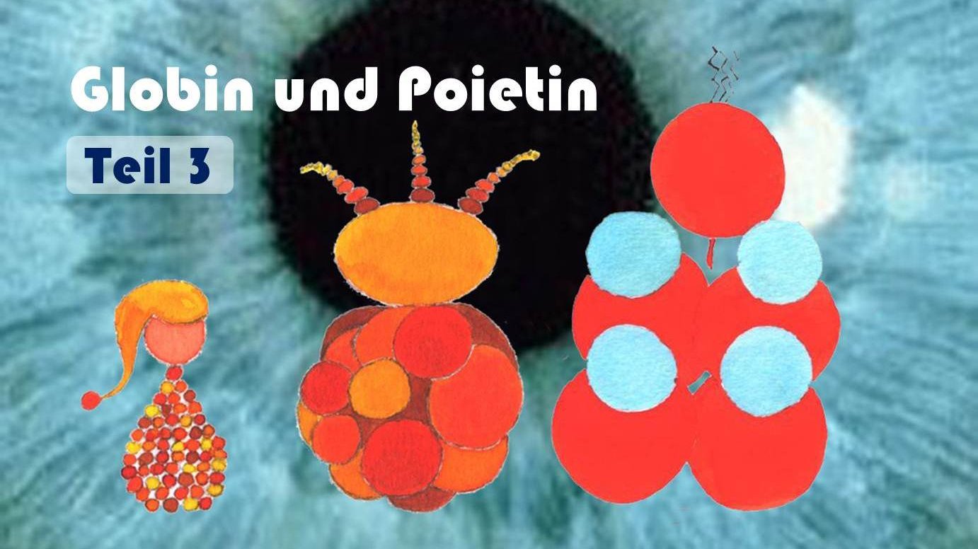 Globin & Poietin: Titelbild