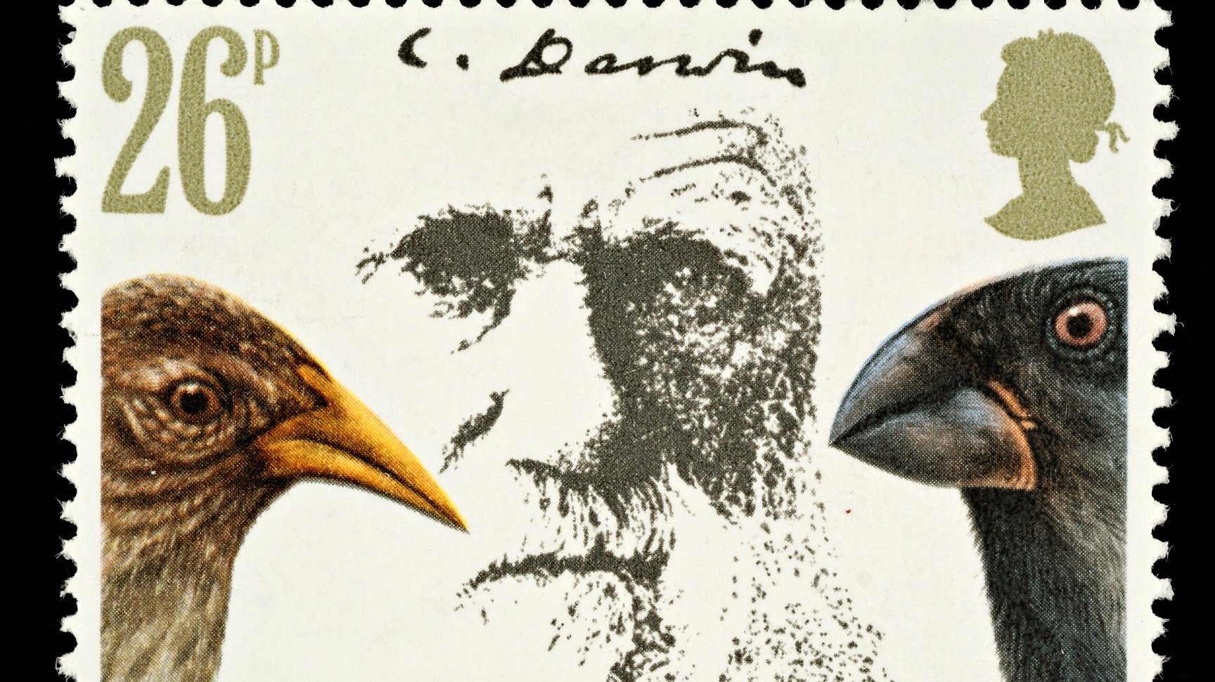 Briefmarke Charles Darwin
