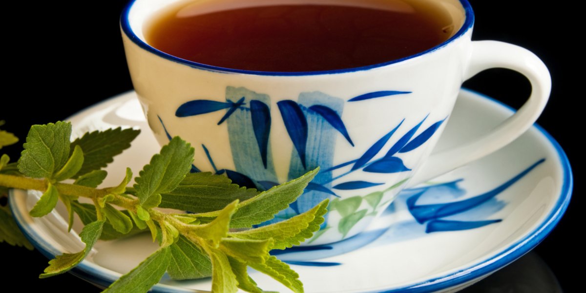 Stevia macht den Tee zum süssen Genuss