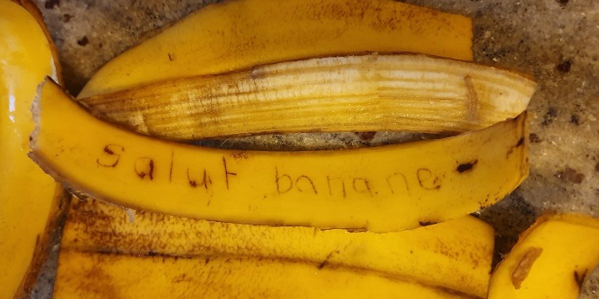 Peaux de bananes