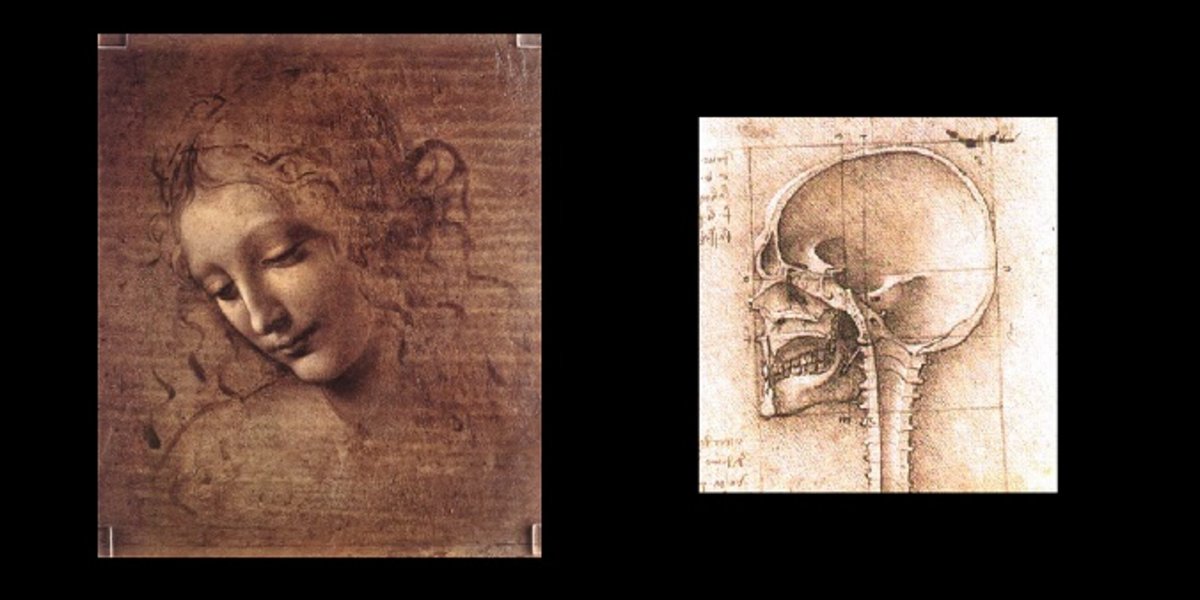 Deux œuvres de Léonard de Vinci