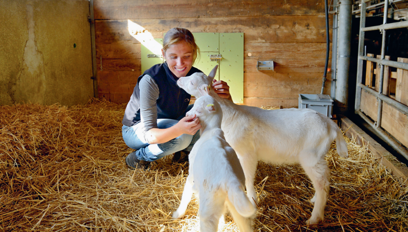 Dans l'étable des chèvres (Image: SATW / Franz Meier) Les chevreaux sont curieux (Image: SATW / Franz Meier)
