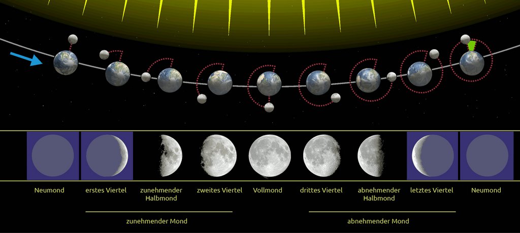Auf dieser Zeichnung siehst du, wie sich die kleine Mondkugel im Verlauf eines Monats um die Erdkugel bewegt.