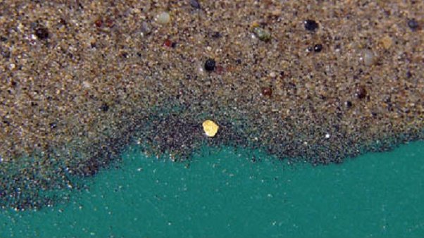 Paillette d'or dans l'Allondon