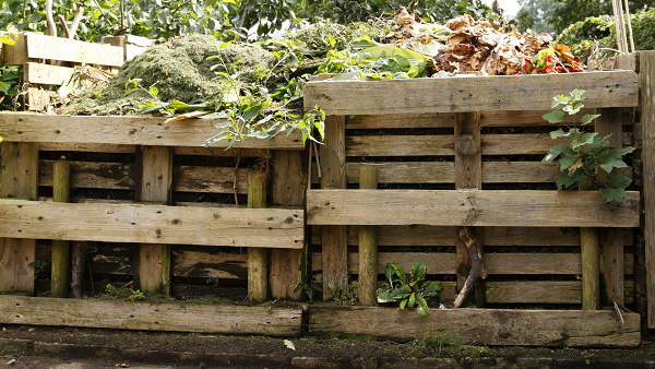 Un tas de compost extérieur dans des casiers en bois