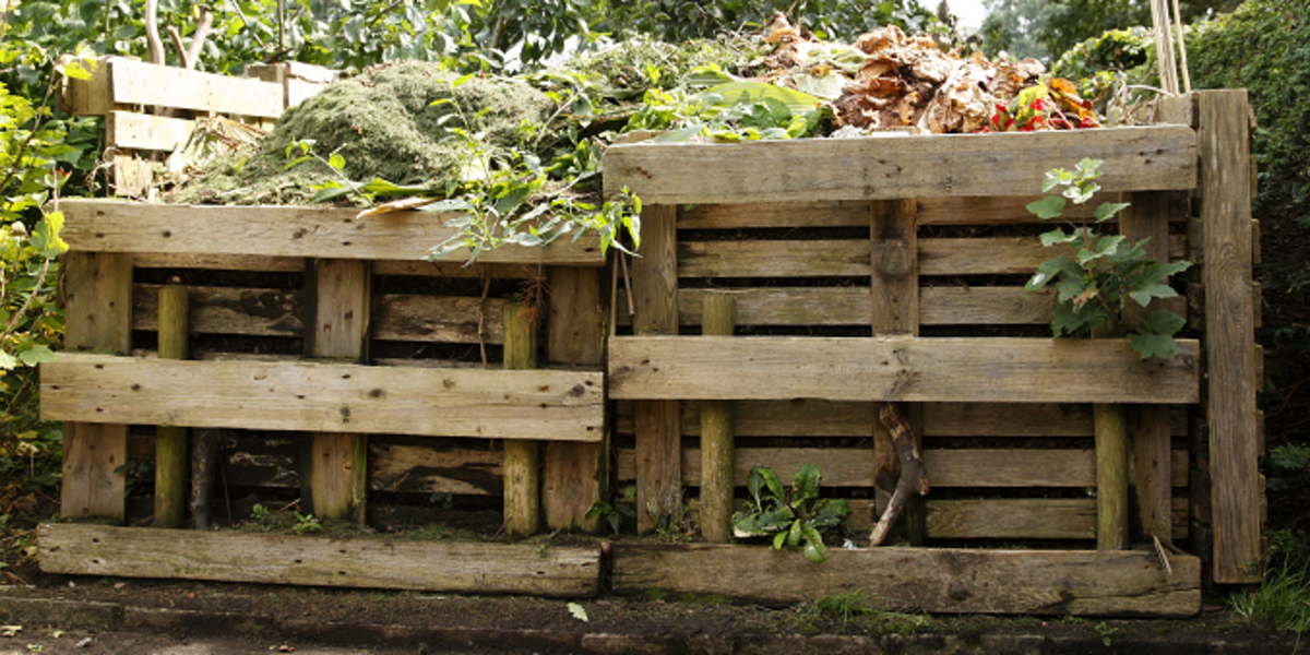 Un tas de compost extérieur dans des casiers en bois