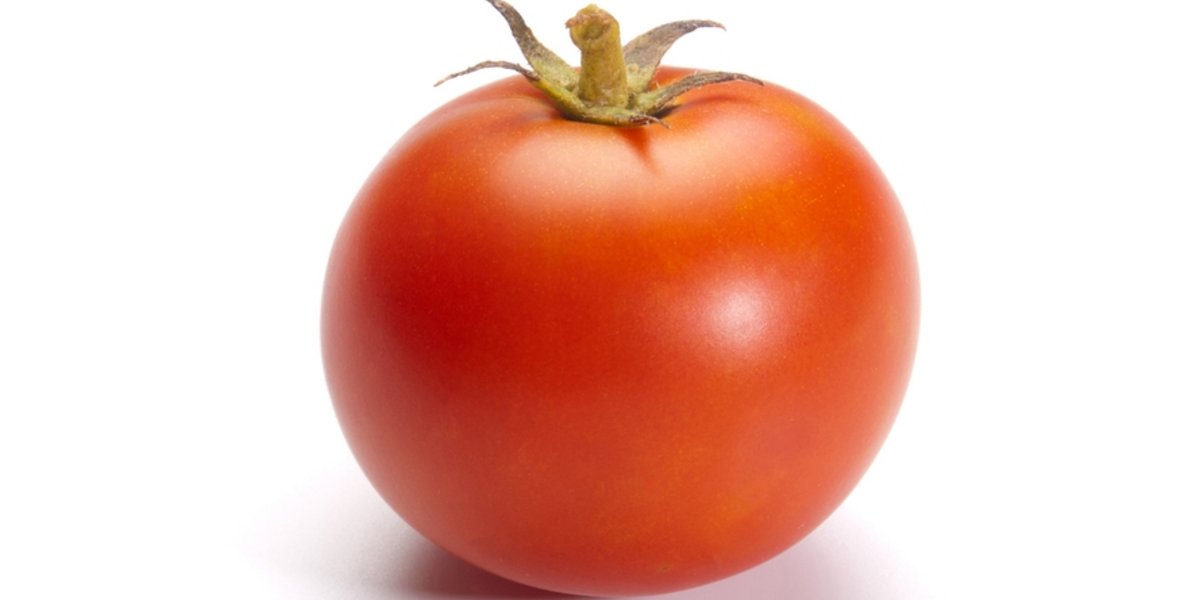 Dans cette expérience, on extrait l'ADN de tomate