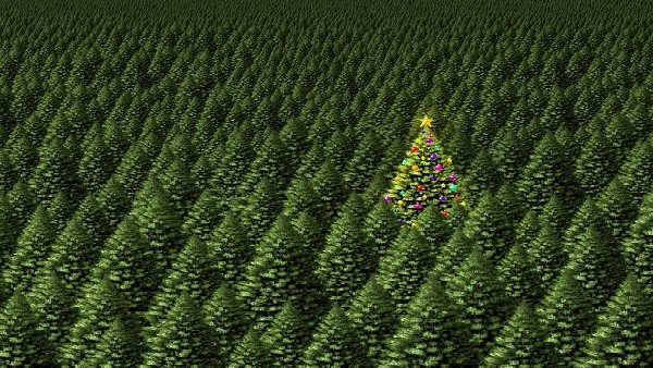 Sapin de Noël