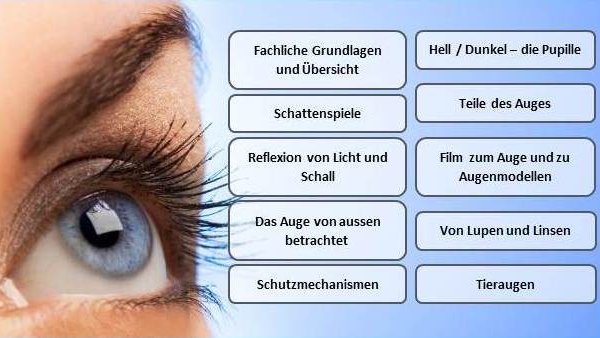 Auge Übersicht