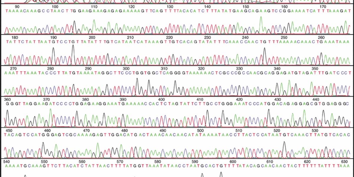 DNA-Sequenz