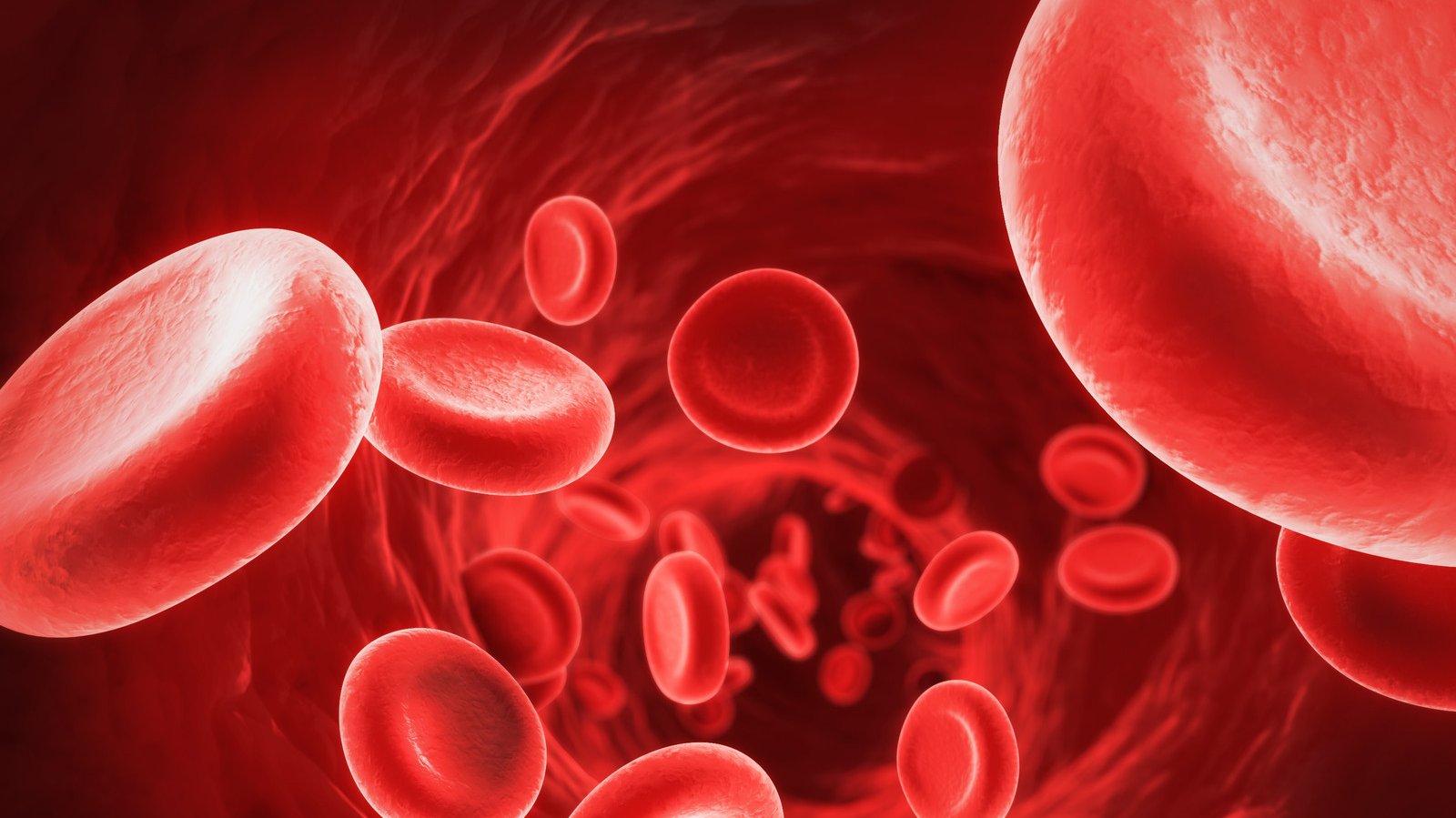 Globules rouges