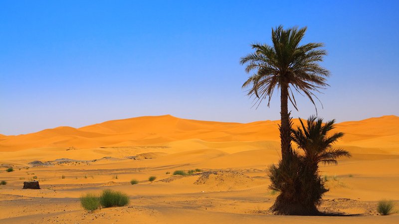 Die Sahara &#40;Erg Chebbi, Marokko&#41;