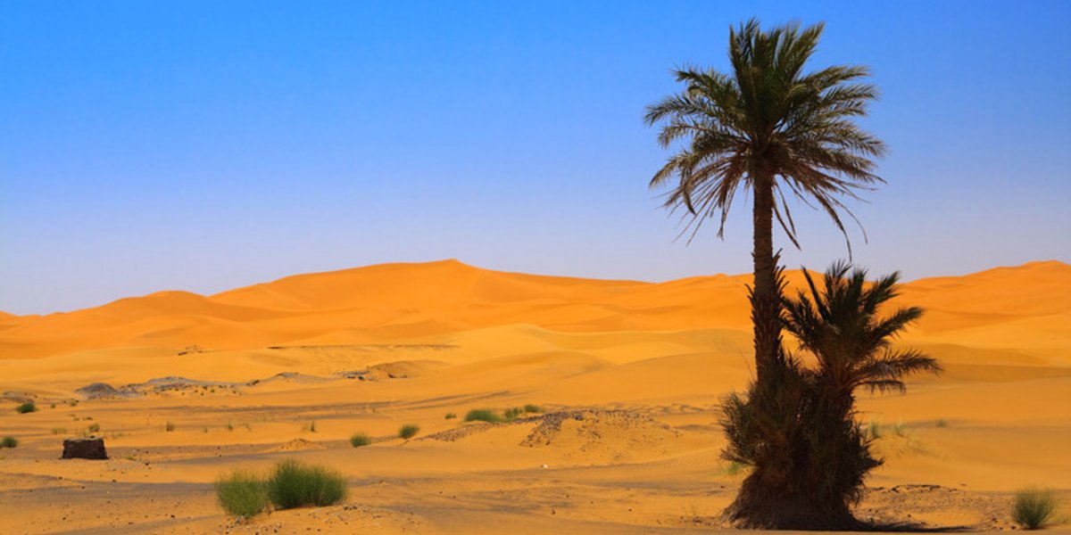 Die Sahara &#40;Erg Chebbi, Marokko&#41;
