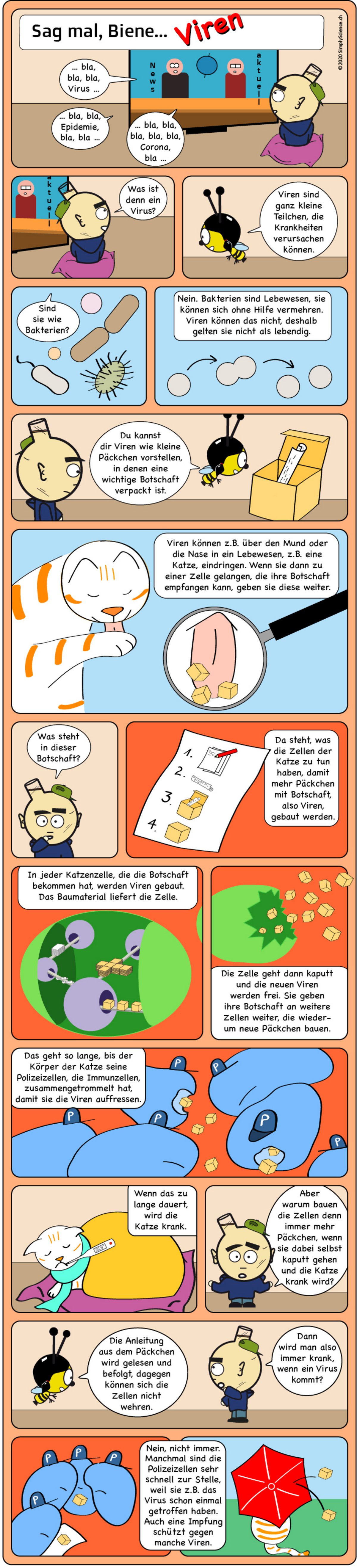 Comic: Was sind Viren?