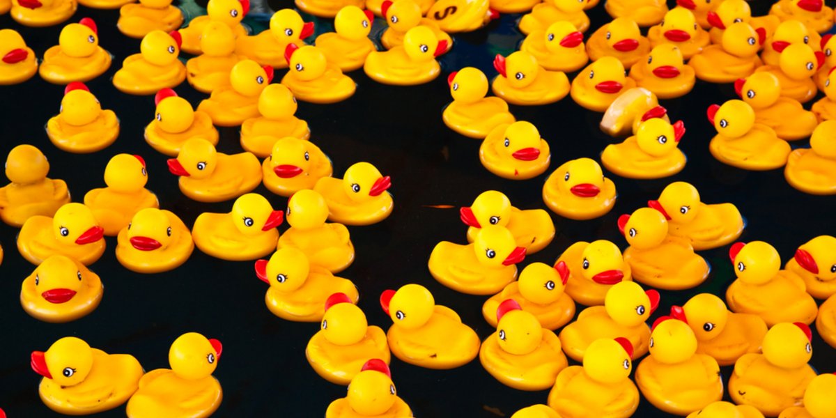 Ein Schwarm von Gummientchen im Swimmingpool