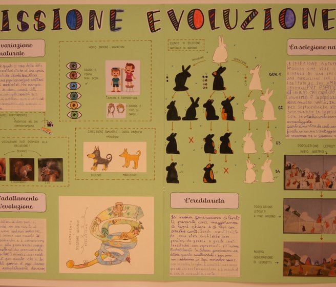 Le poster de la classe qui a remporté le premier prix