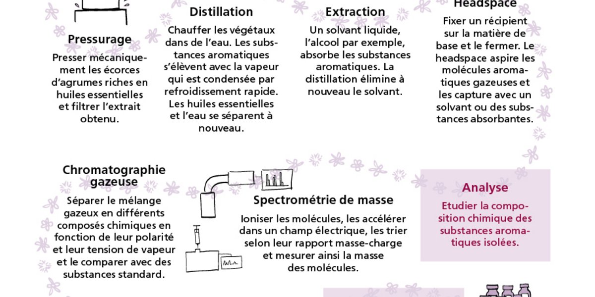 Création d'un parfum