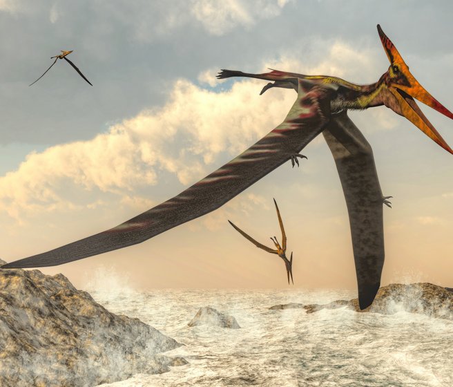 Image de synthèse d'un reptile volant au-dessus de la mer