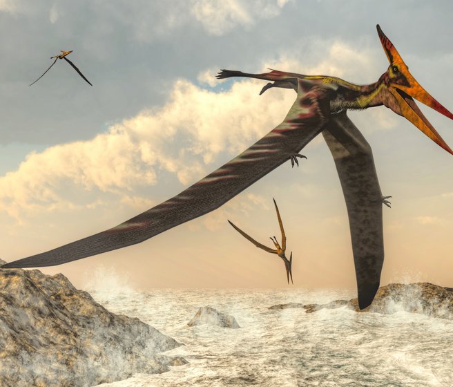 3D künstlerische Darstellung von Flugsauriern