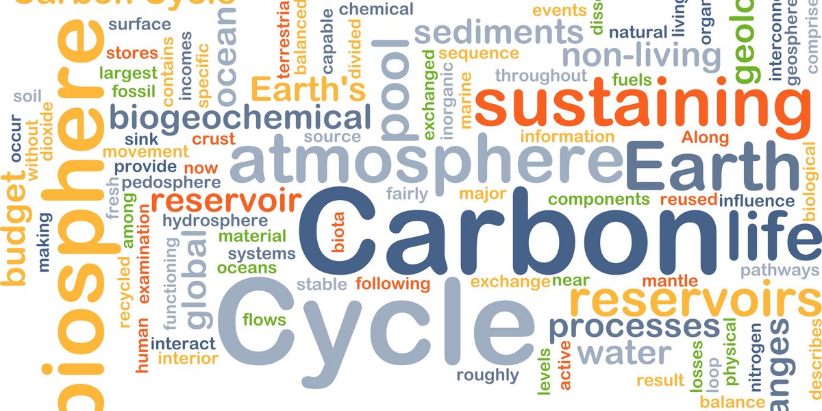 Word Cloud zum Thema Kohlenstoffkreislauf Word Cloud zum Thema Kohlenstoffkreislauf