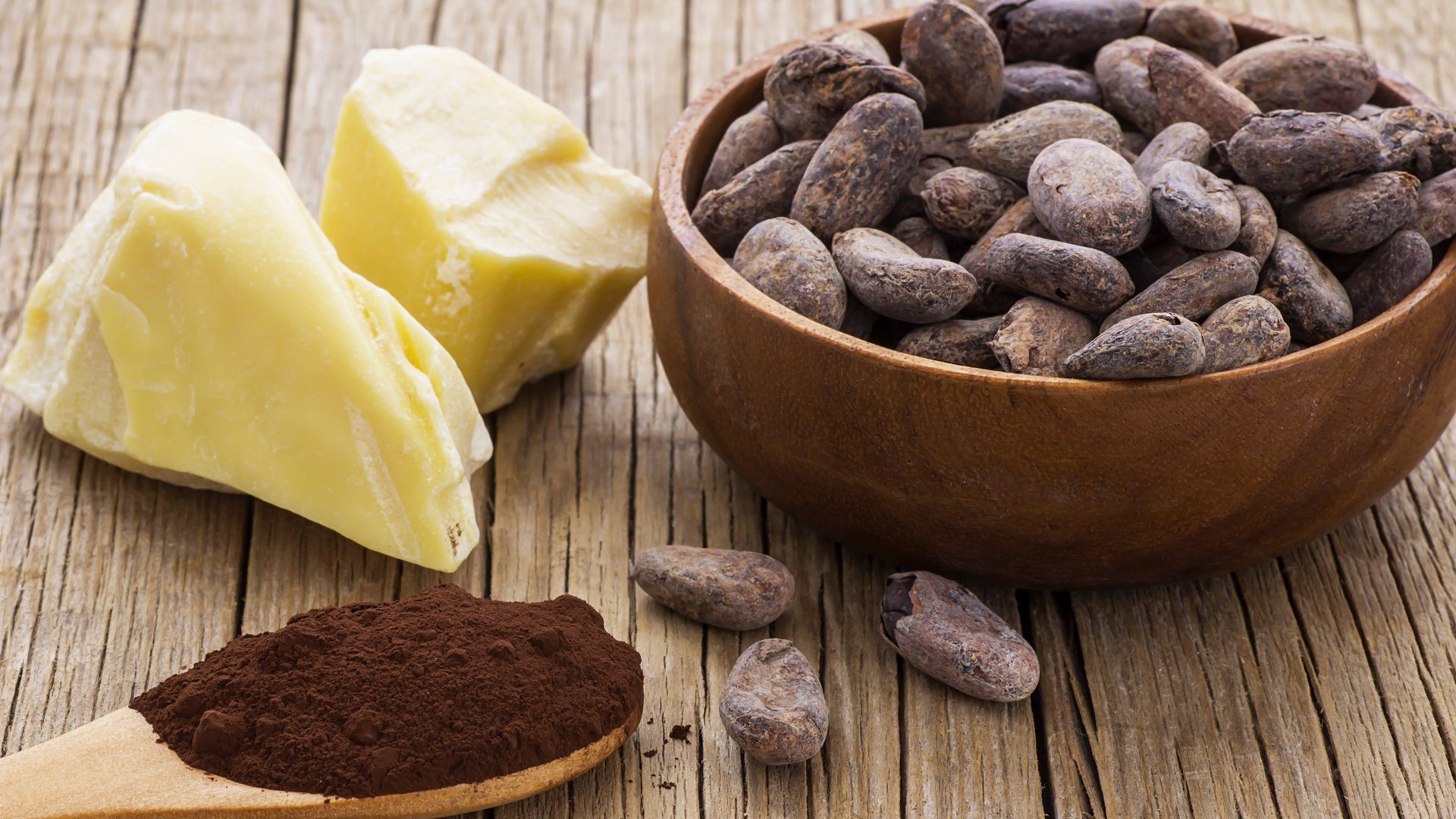 fèves de cacao grillées, morceaux de beurre de cacao, poudre de cacao