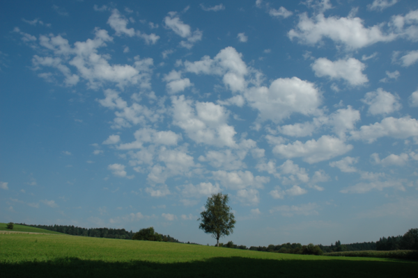 Altocumulo
