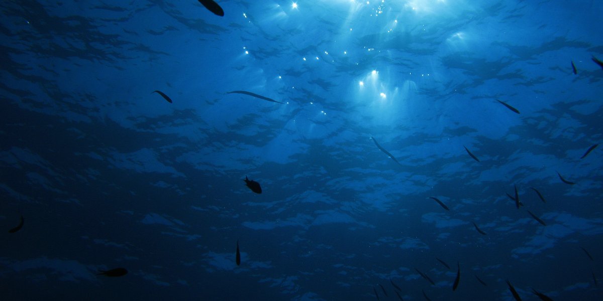 Unter Wasser Unter Wasser