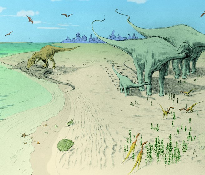 Dessin montrant des dinosaures se déplaçant sur une plage suisse à l'époque du Jurassique