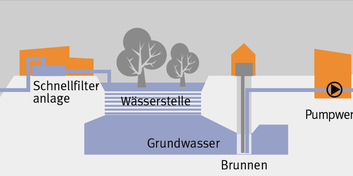 Das Rheinwasser wird über mehrere Stationen aufbereitet, bis es in den Haushalten als sauberes Trinkwasser aus den Hähnen fliesst