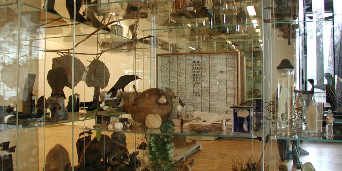 Naturama - das Aargauer Naturmuseum